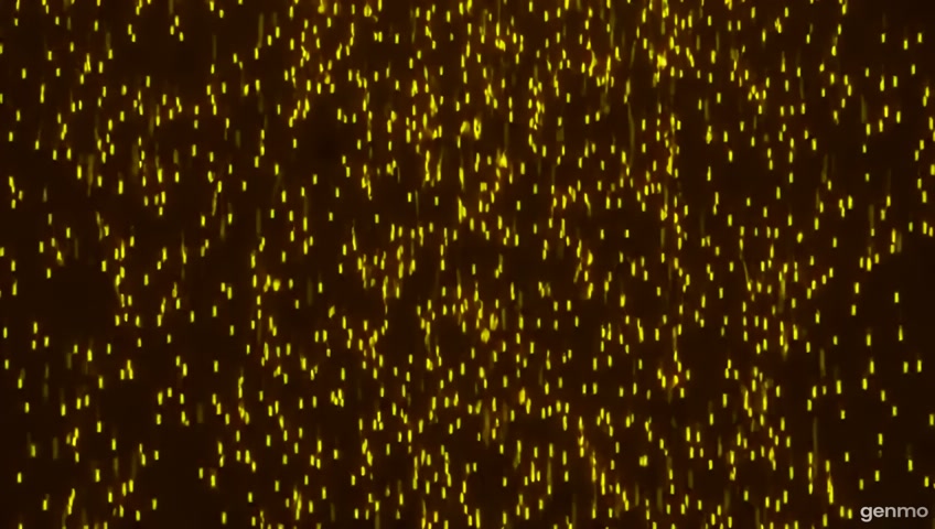 golden sparkle lights falling from top to bottom