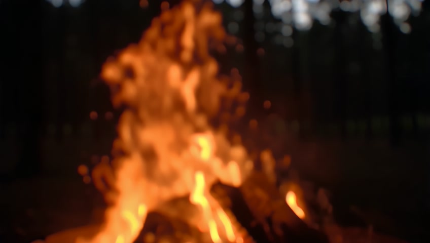 A close-up shot of a campfire crackling in the dark woods. The camera focuses on the flames and glowing embers, creating a cozy atmosphere.
