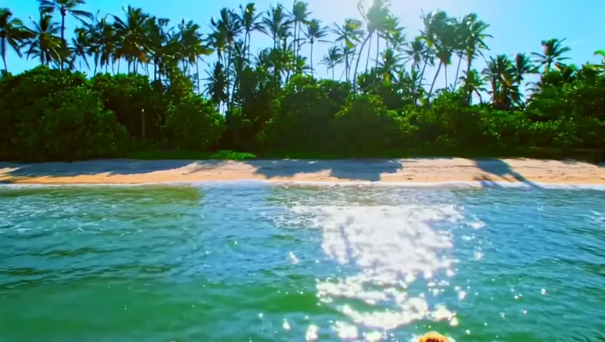 Women in swimsuits go into the water on the beach of a tropical island around a lot of greenery and palm trees. Ultra high resolution 4k