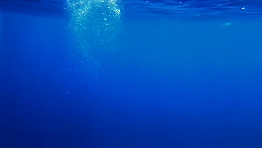 An underwater shot of bubbles rising to the surface in a deep blue sea. The camera follows the bubbles, creating a sense of depth and tranquility.