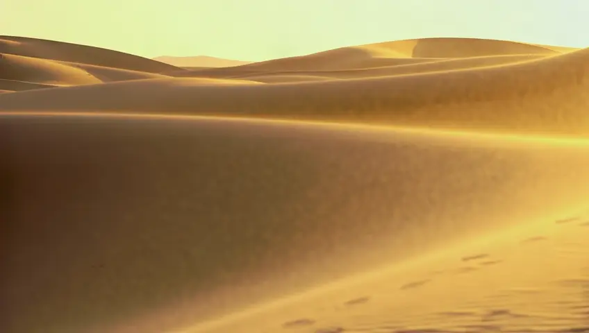 "Rolling desert dunes shaped by powerful gusts of wind, each gust lifting sand into swirling, glowing waves under early sunlight. The light particles float in the air, catching golden light. The sand stretches endlessly, with occasional traces of animal footprints in the soft, shifting surface. Realistic, with a timeless, cinematic 1950s look."