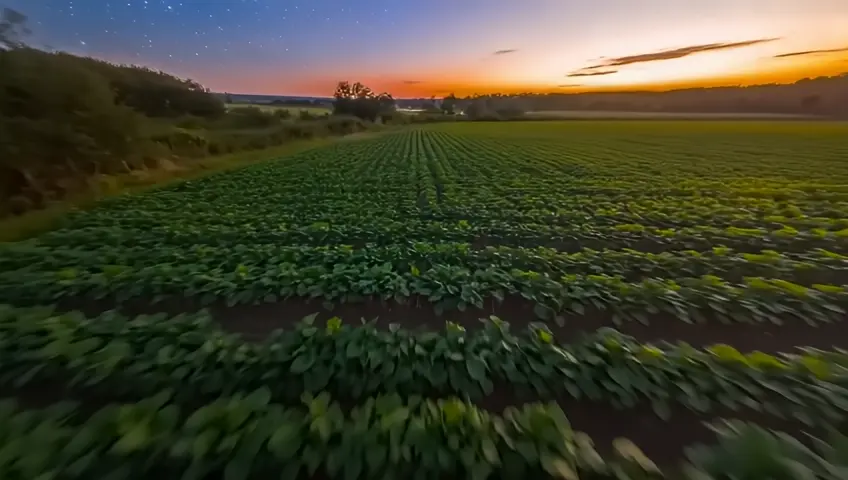 Step into an enchanting journey that combines the beauty of nature with innovation. The video begins with sweeping shots over an idyllic organic farm bathed in the golden light of early evening. Rows of lush green crops stretch toward a horizon painted with shades of deep blue and twilight purples. In the distance, the Milky Way glows softly, rendered in the swirling, textured strokes of Van Gogh's art, adding a touch of wonder to the natural landscape.

The video captures serene moments: hands harvesting fresh vegetables, dew-covered leaves glistening, and the rich textures of organic soil, highlighting the farm's earthy charm. In cozy, softly-lit farm buildings, visitors can be seen using Gunmo.ai devices for an enhanced, informative tour experience—an eco-tech blend that seamlessly integrates with the organic setting.

As the night deepens, the scene shows guests enjoying a farm-to-table meal under the stars, with the Milky Way arcing above. A final shot reveals Gunmo.ai devices displaying stargazing guides, paired with the tagline, 'Connect with the Earth and beyond, with Gunmo.ai.