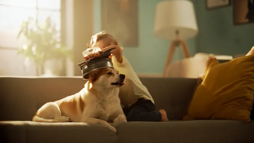 little boy playing with his dog, who is calmly minding his own business on the couch. The dog is even capable of remaining perfectly still while the toddler places the inside of a rice cooker on his head like a jaunty little cap