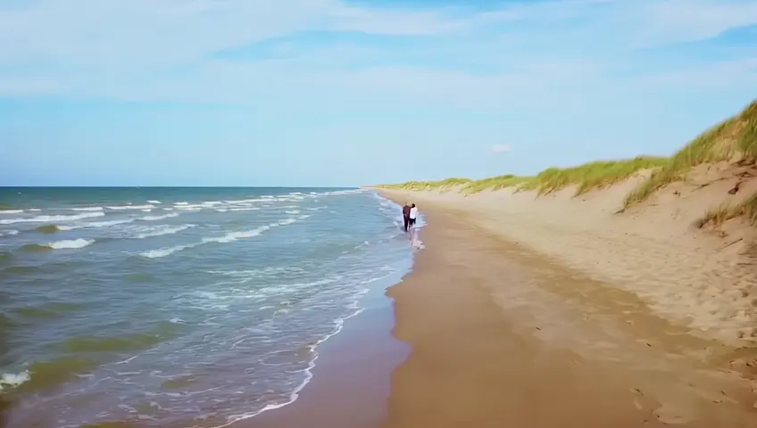 Shoreline of the sea, in a distance a couple walking along the shoreline, zoom in along the shoreline