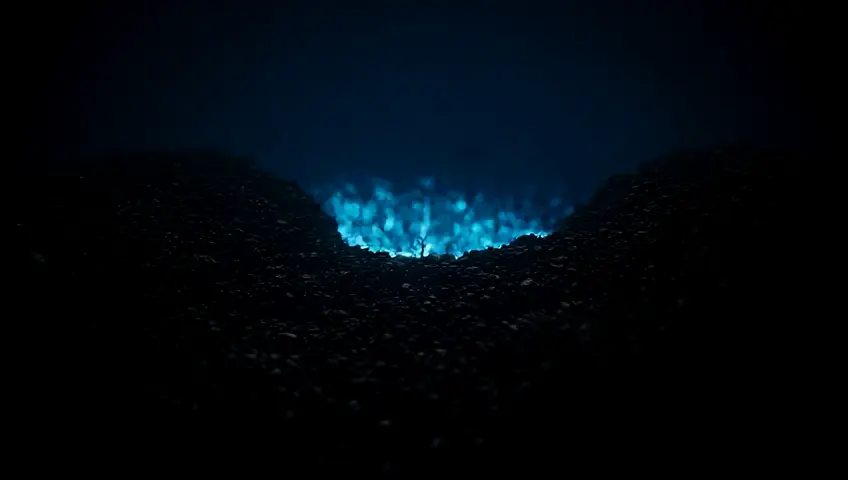 Mycelial Awakening - Visual: The camera zooms into the ground, revealing the mycelium network beneath the soil, glowing with pulsating energy. As it spreads, it creates interconnected patterns that look like an organic circuit board, with neon fungi popping out and sending pulses into the air.