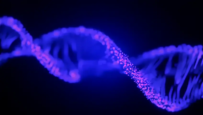 node shape of DNA's frequency