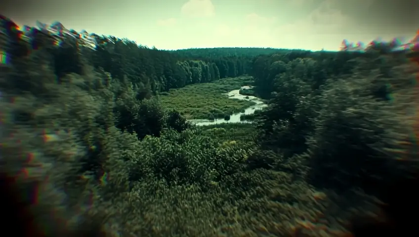 forest there is a river in the middle, a lot of vegetation, the atmosphere is mysteries, daytime weather, grainy filter and glitch effect
