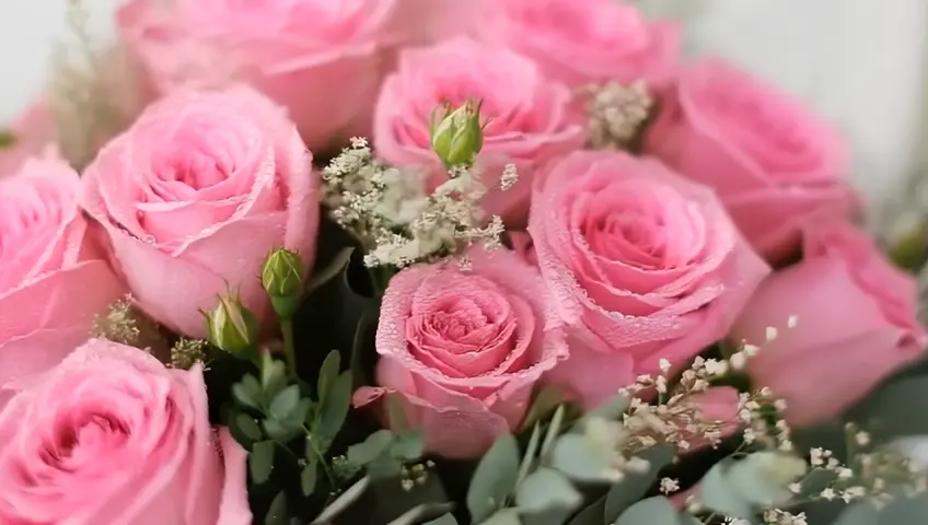 huge chic bouquet of pink roses beautifully decorated