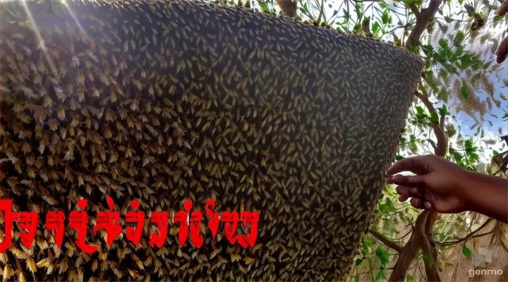 a hand pointing at a swarm of bees on a tree