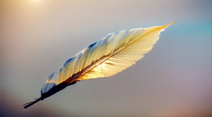Feather falling