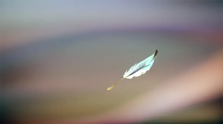 Feather falling