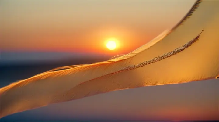 A delicate feather floating gently in front of a golden sunset with long, warm shadows