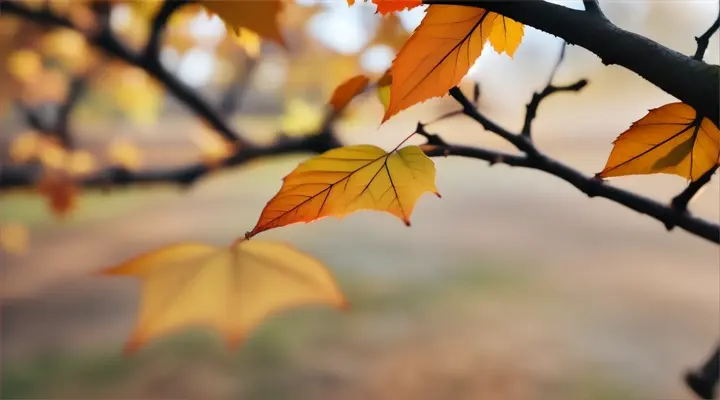 Leaf falling from the tree