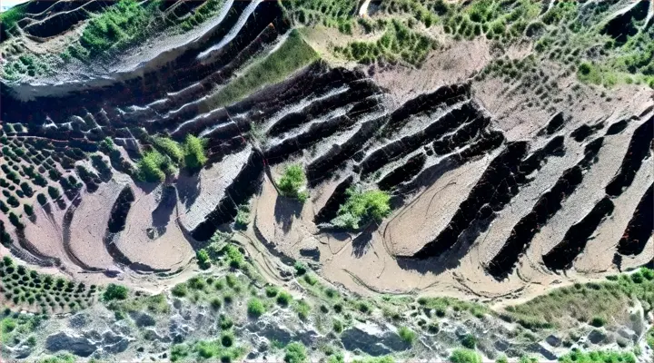 an aerial view of a rocky area with trees