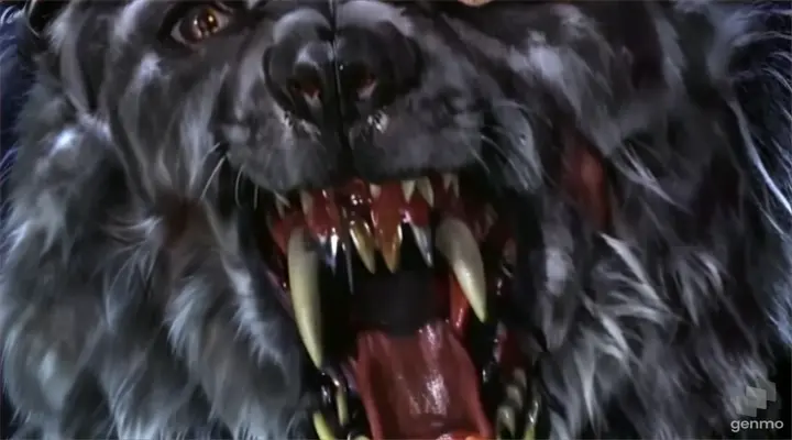 a close up of a black wolf with its mouth open