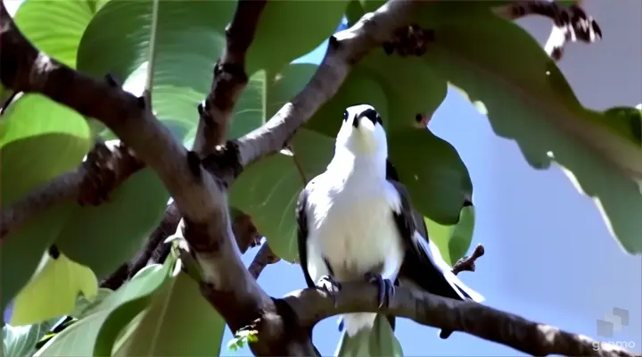 a bird sitting on a branch of a tree