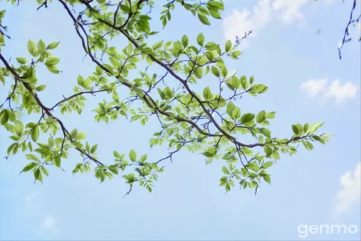 a tree branch with green leaves against a blue sky