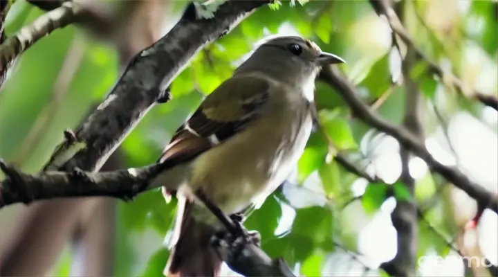 a small bird perched on a branch of a tree