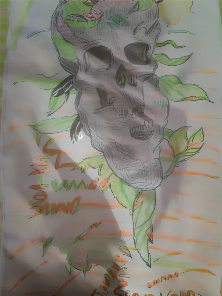 a drawing of a skull with flowers on it  with diatortion effect