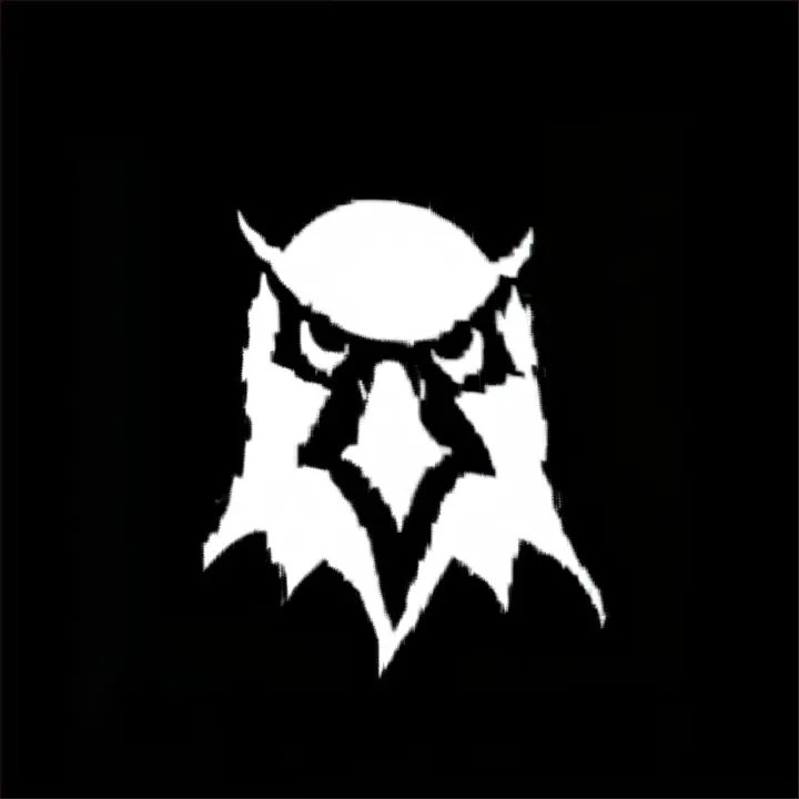 an eagle logo on a black background.