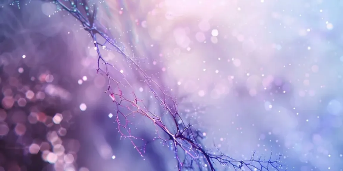 a close up of a branch with water droplets on it