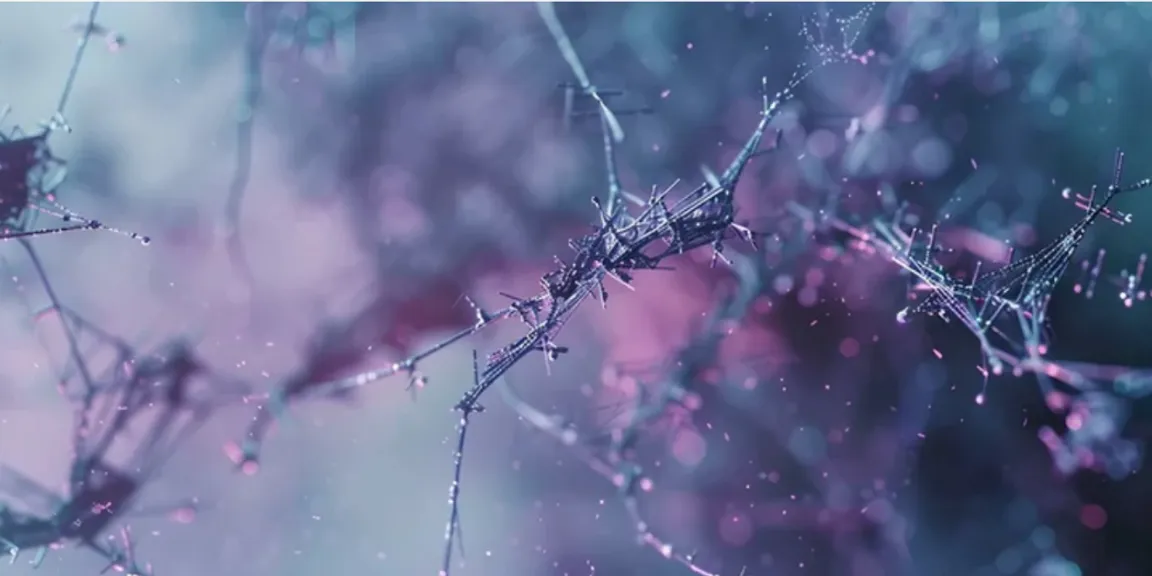 a close up of a tree branch with drops of water on it