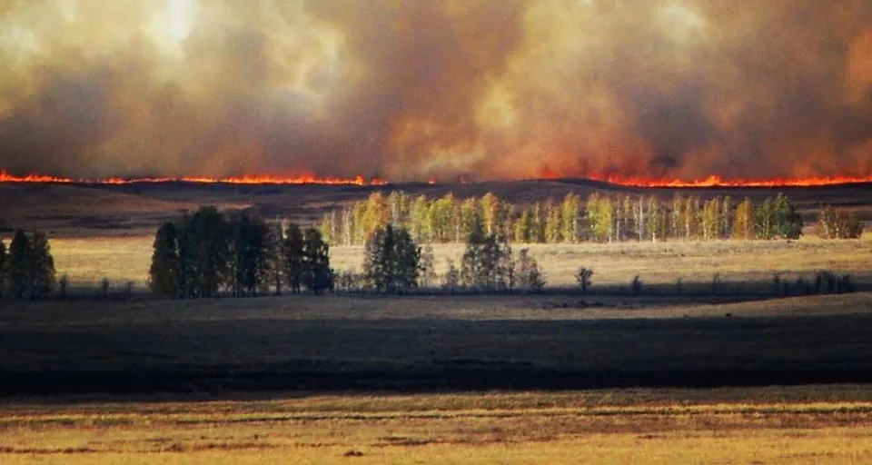 a large field with trees and a fire in the distance