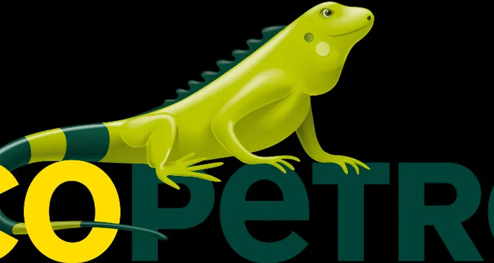 a green lizard sitting on top of the word so petro