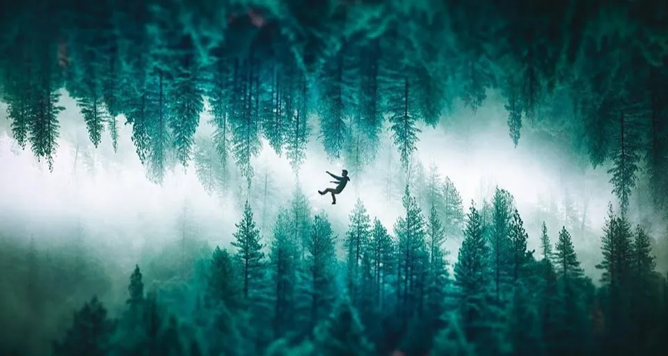 a person flying through the air over a forest