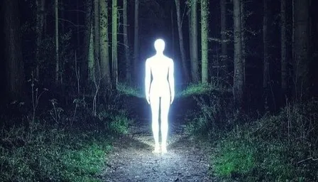 a person standing in the middle of a forest at night