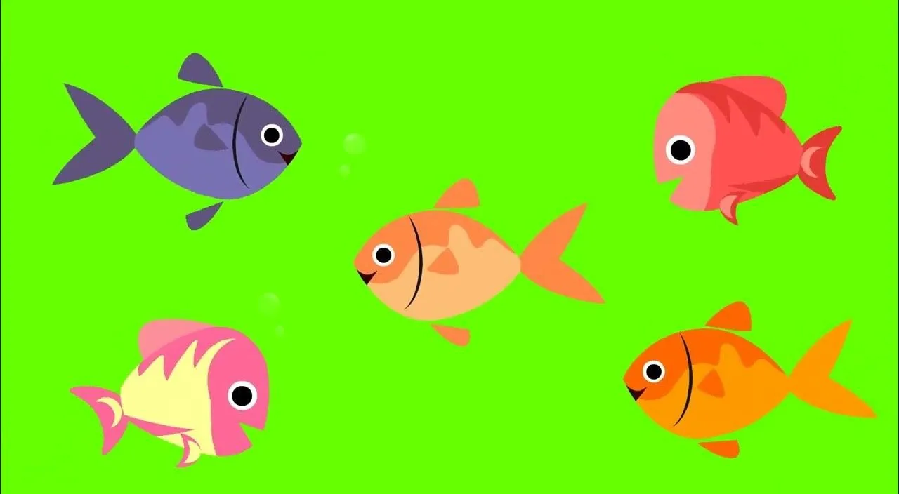 a group of different colored fish on a green background