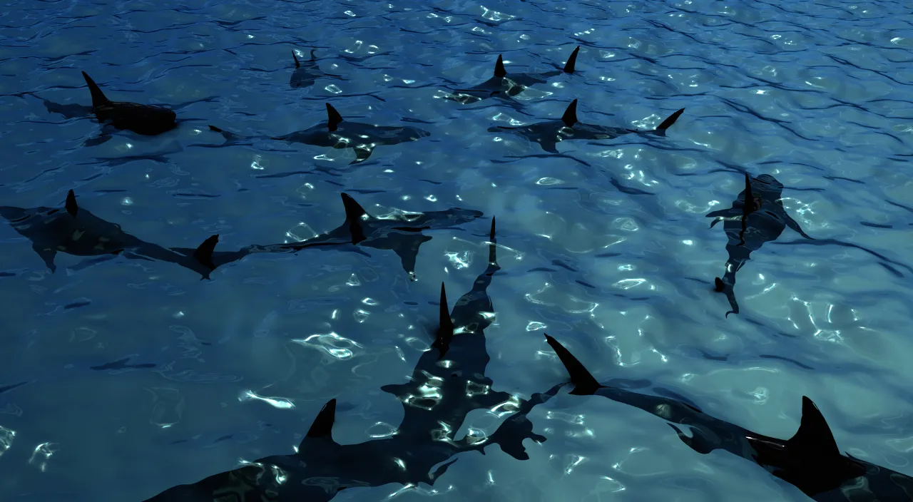 a group of sharks swimming in the ocean