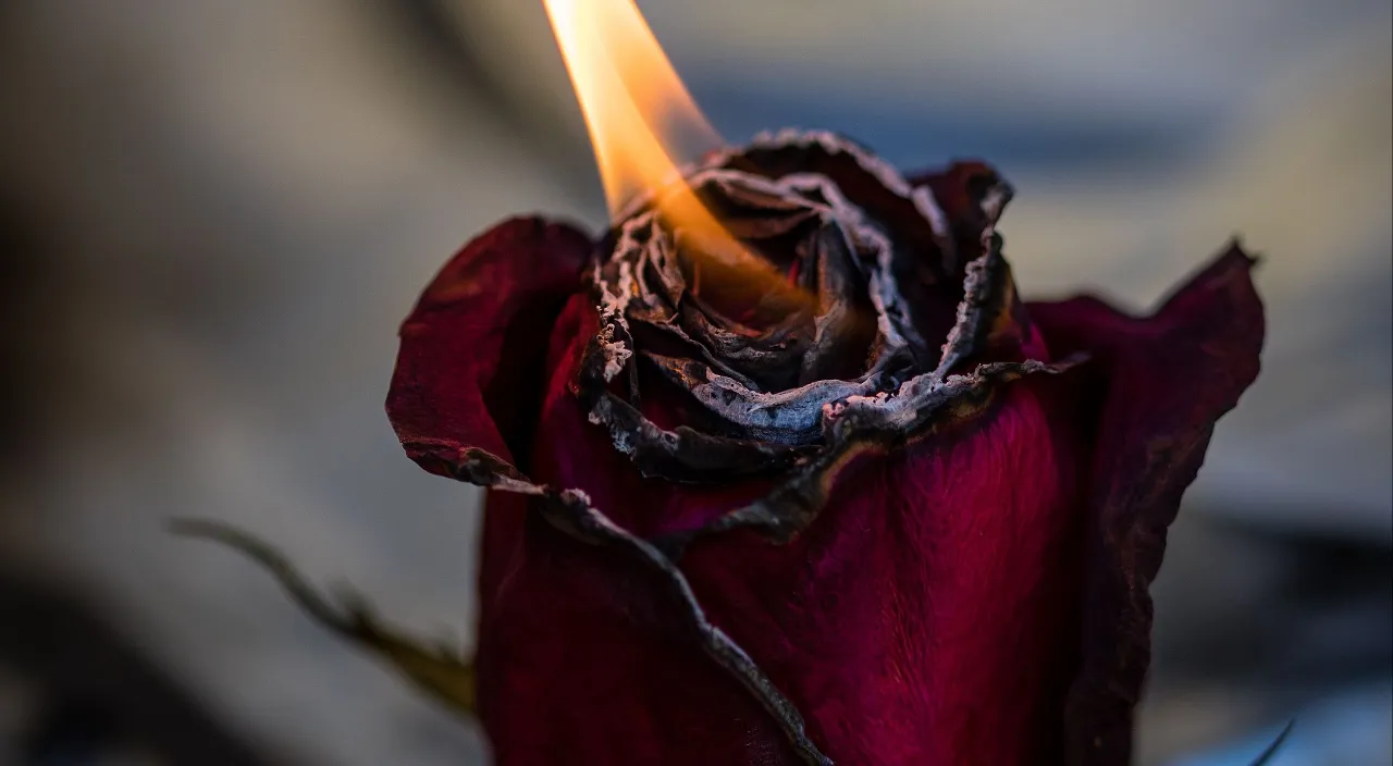 a close up of a flower with a candle in it