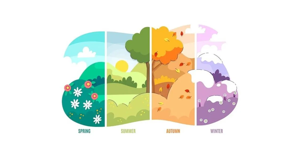 the four seasons