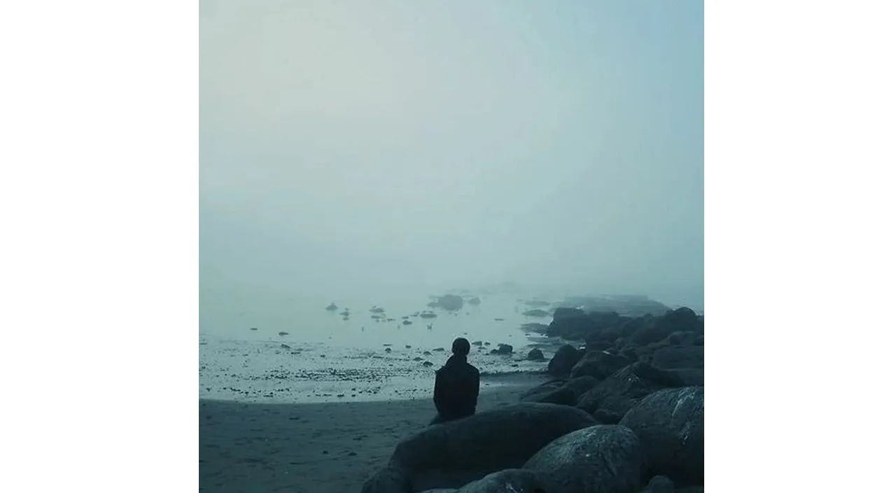 a woman standing on a beach in the fog