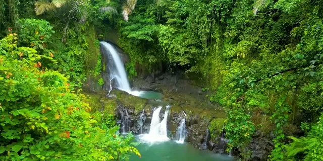 a small waterfall in the middle of a forest