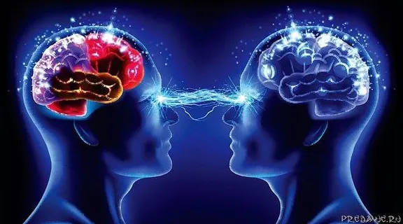 two people facing each other with a brain in the middle