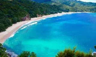 a beach with a blue body of water surrounded by trees