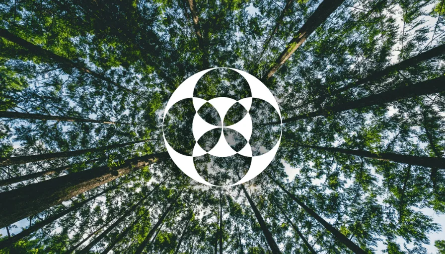 a picture of a forest with a ambisonics anagram