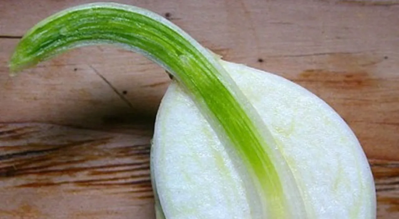 a close up of a piece of food on a table