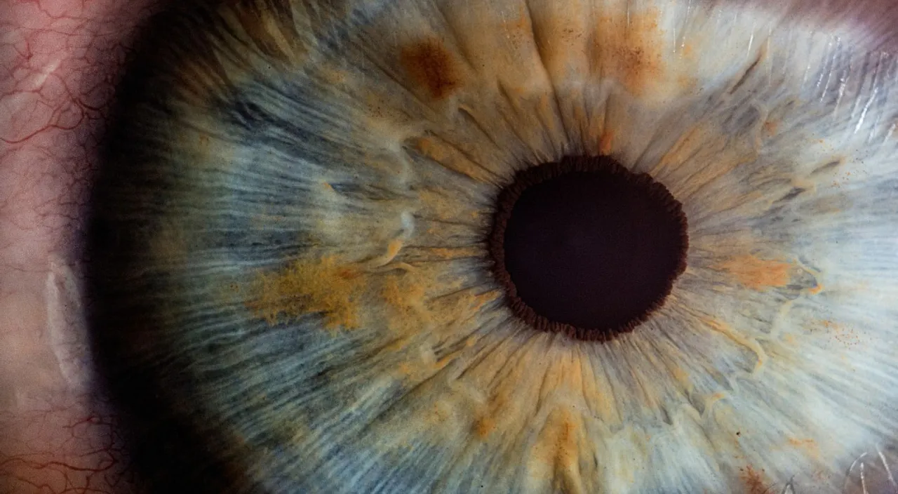 a close up view of a human eye