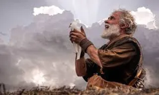 a man sitting on the ground with a bird in his hand