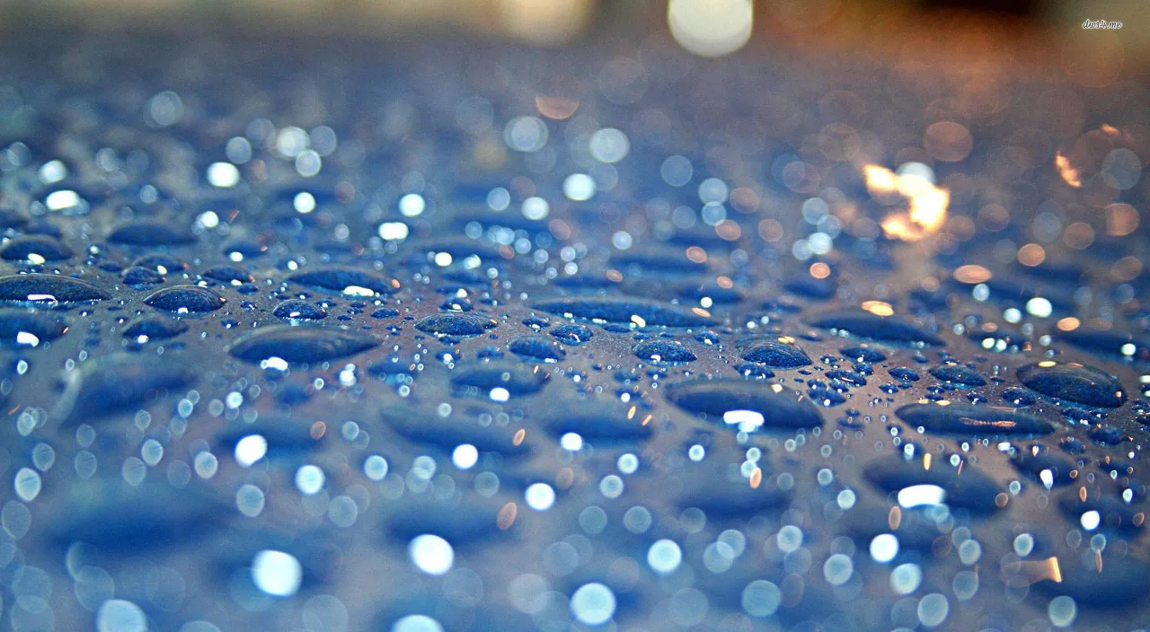 a close up of water droplets on a surface