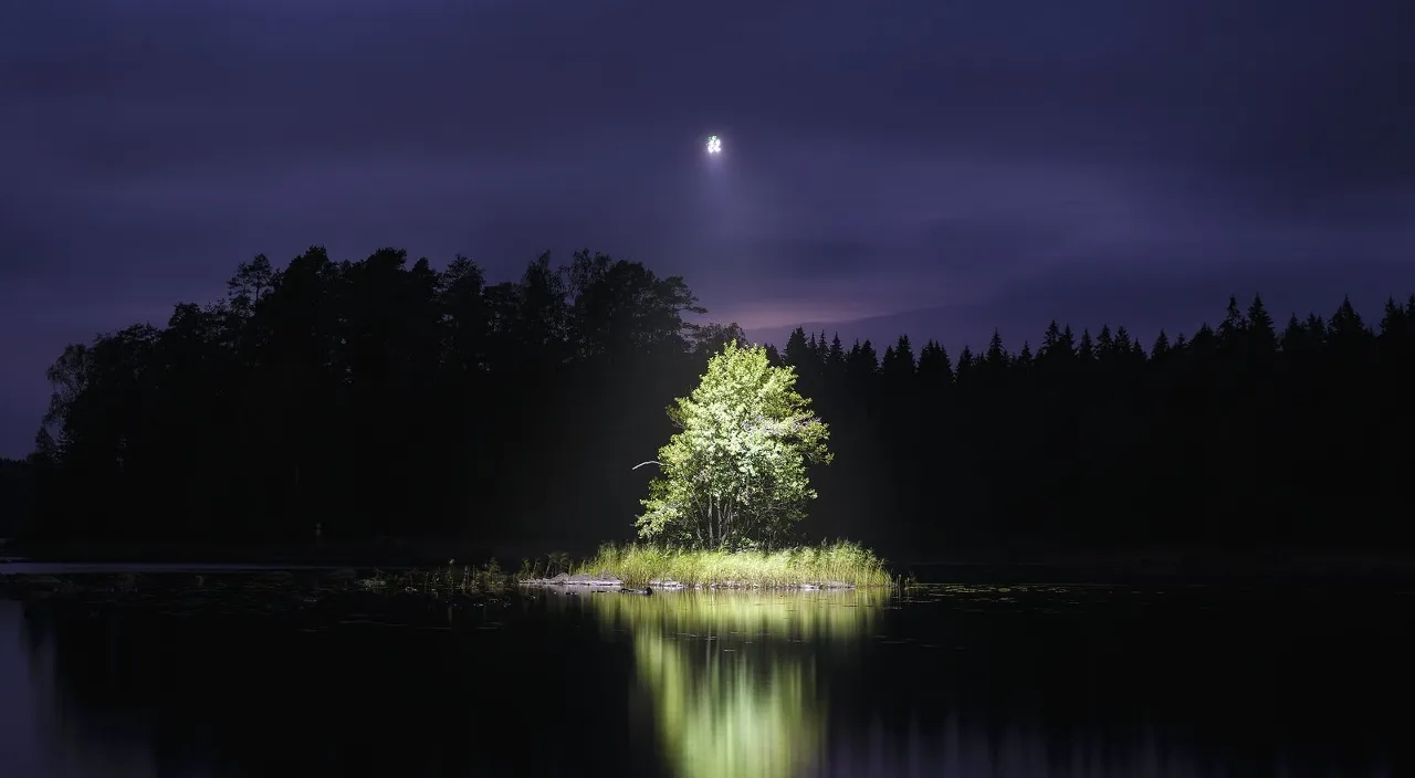 a tree in the middle of a lake at night