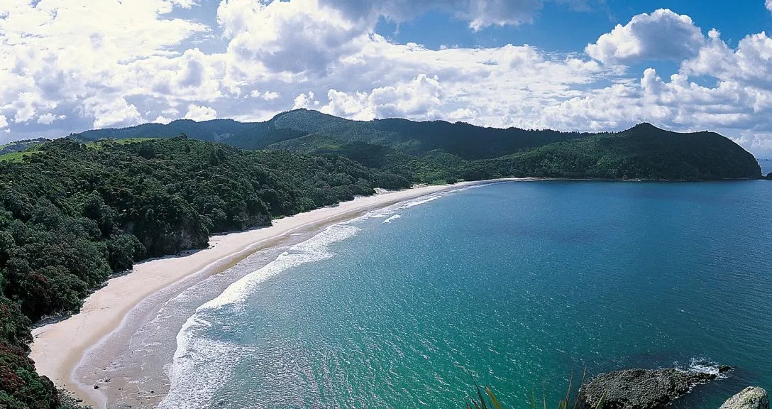 an aerial view of a beach and a forested area