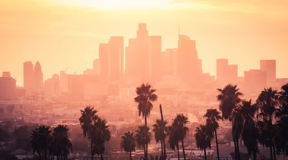 a city skyline with palm trees in the foreground