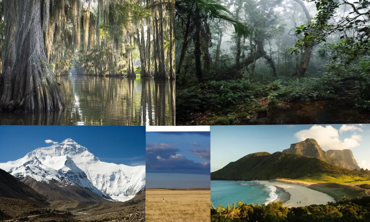 a collage of pictures of a mountain, a lake, and a forest