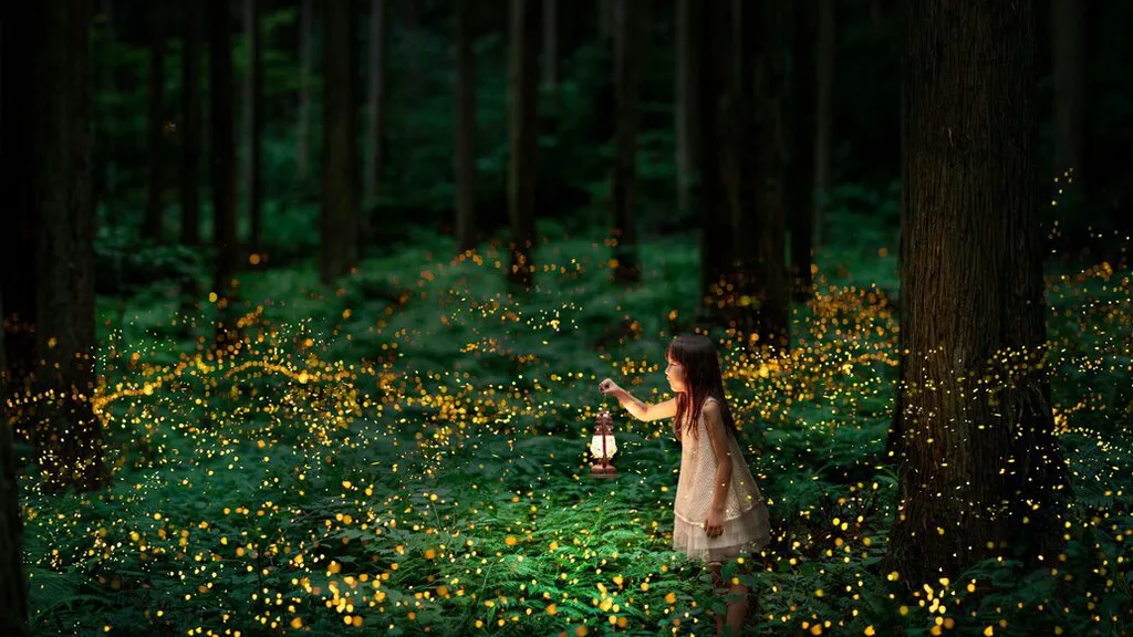 a little girl standing in a forest holding a lantern