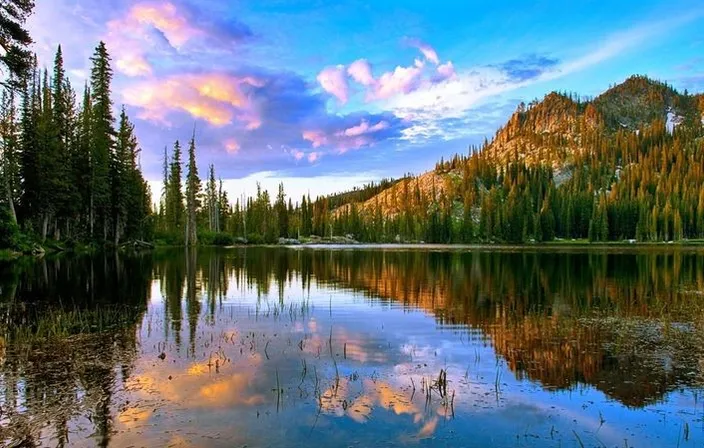 a lake surrounded by trees with a mountain in the background