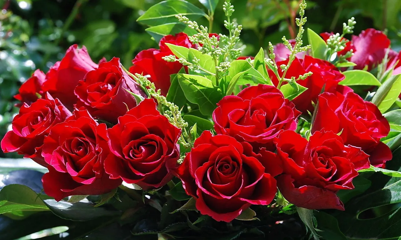 a bouquet of red roses with green leaves